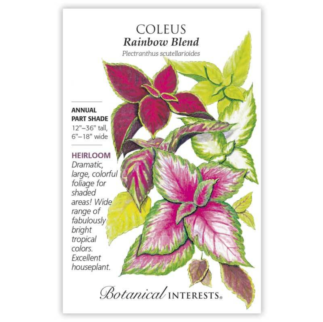 Botanical Interests - Coleus Rainbow Blend Seeds