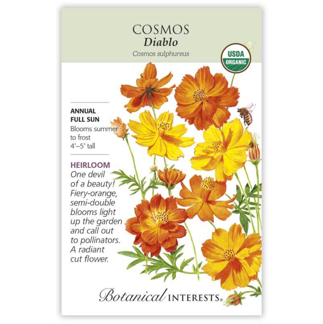 Botanical Interests - Cosmos Diablo Seeds