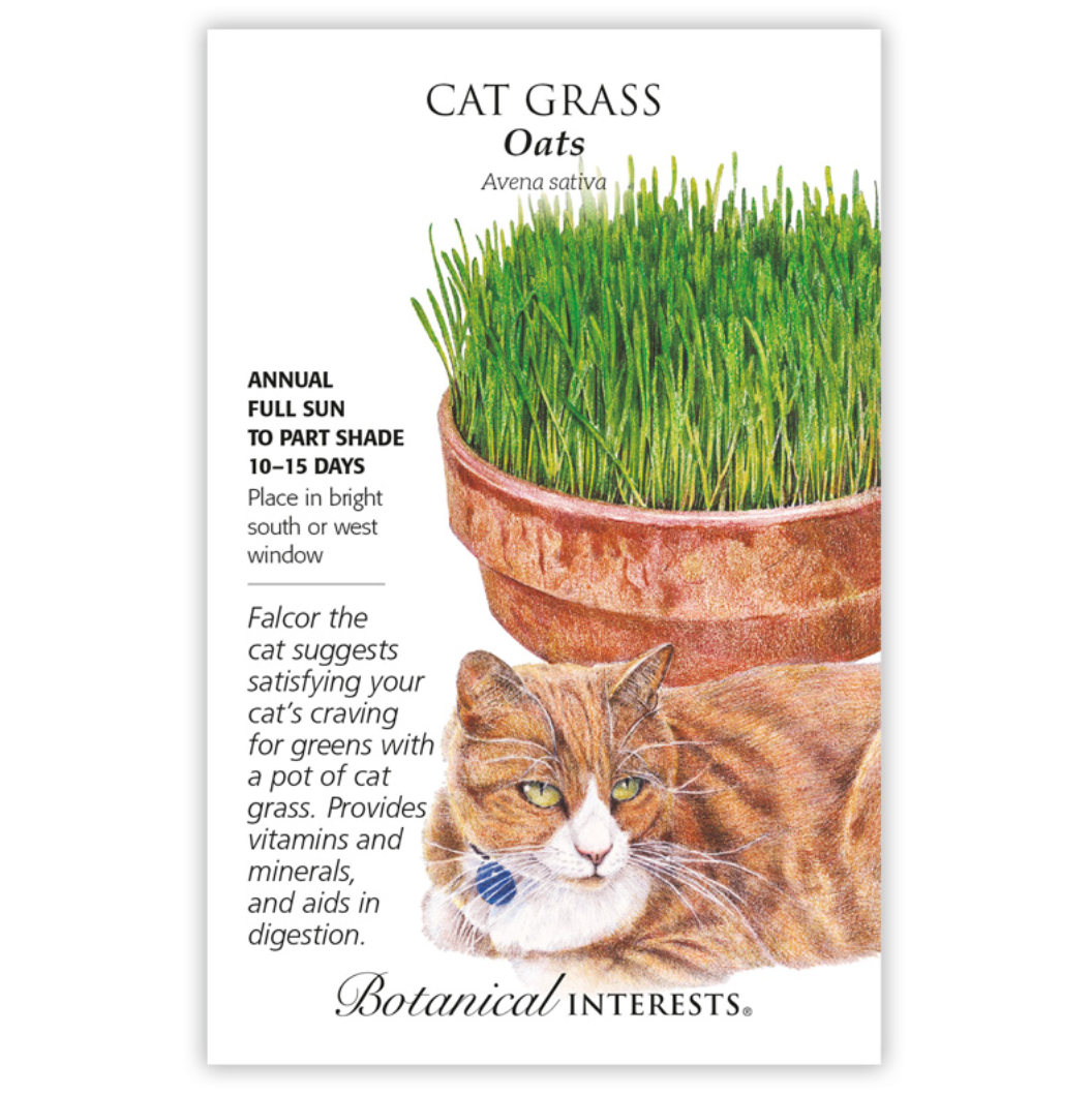 Botanical Interests - Cat Grass Seeds