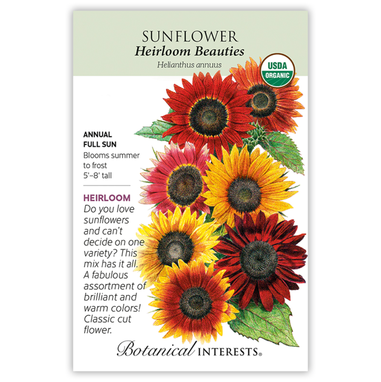 Botanical Interests - Heirloom Beauties Sunflower