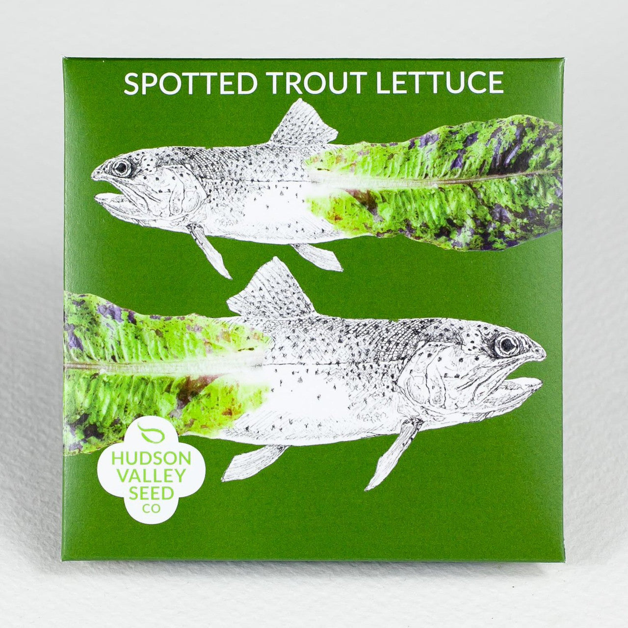 Hudson Valley Seed Library -  Spotted Trout Lettuce