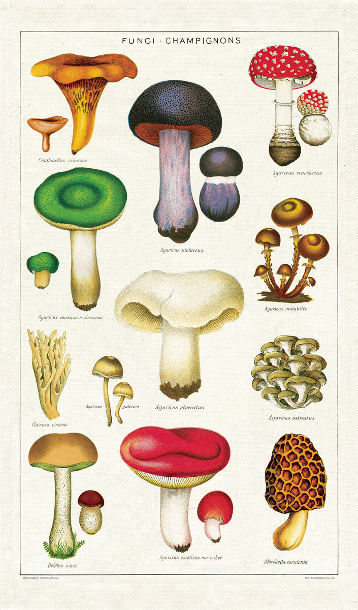 Mushroom Tea Towel