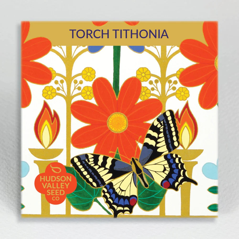 Hudson Valley Seed Library - Torch Tithonia