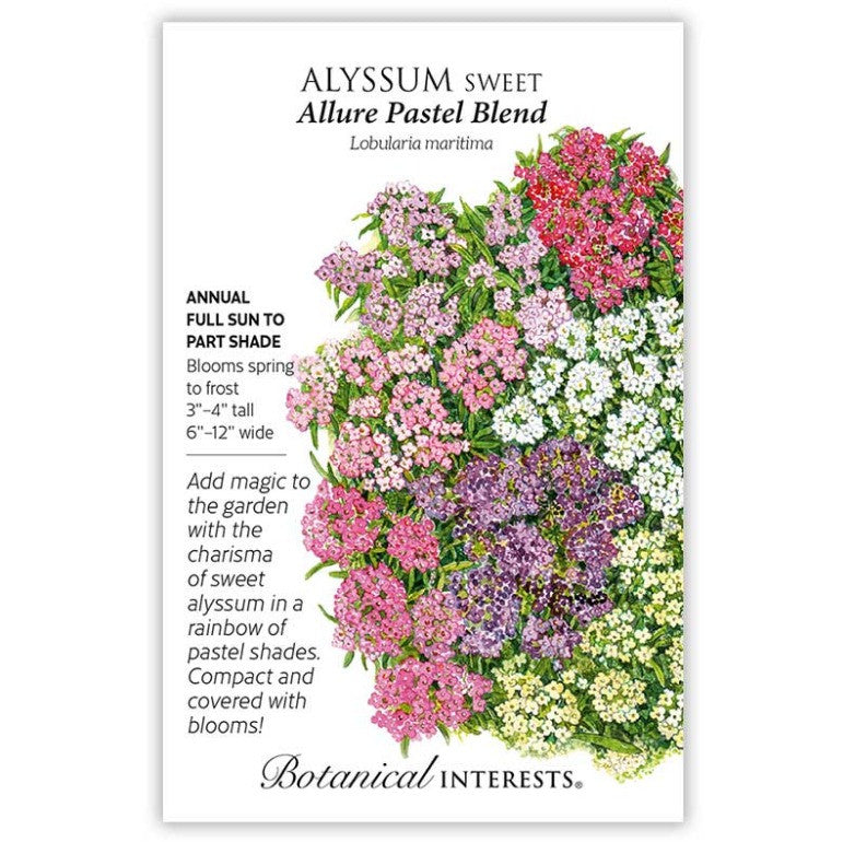 Botanical Interests - Allure Pastel Blend Sweet Alyssum