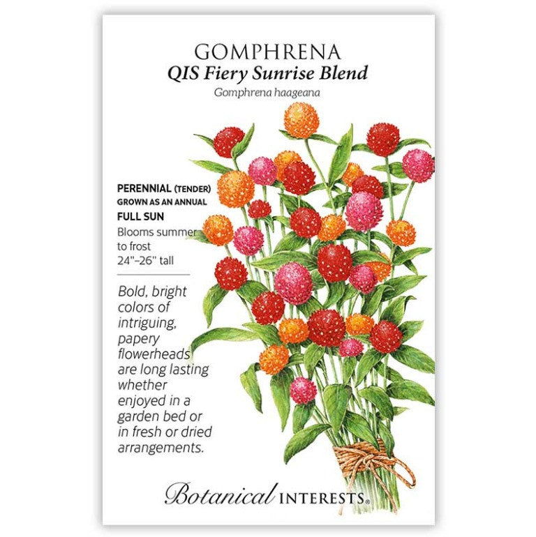 Botanical Interests - QIS Fiery Sunrise Blend Gomphren