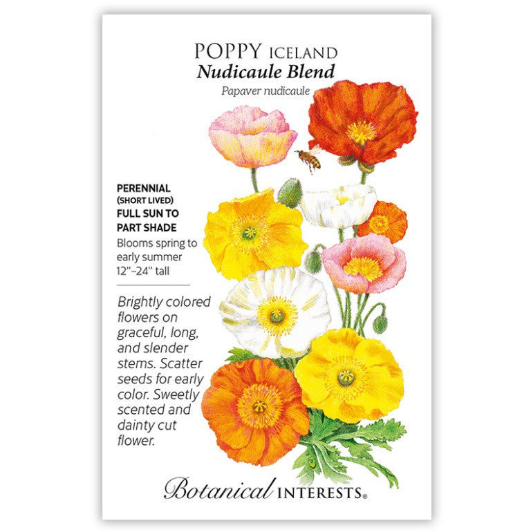 Botanical Interests - Poppy Iceland Nudicaule Blend