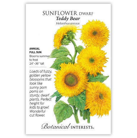 Botanical Interests - Teddy Bear Dwarf Sunflower