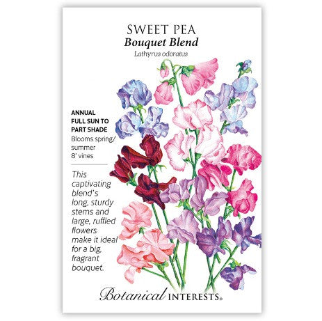 Botanical Interests - Bouquet Blend Sweat Pea