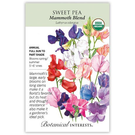 Botanical Interests - Mammoth Blend Sweet Pea