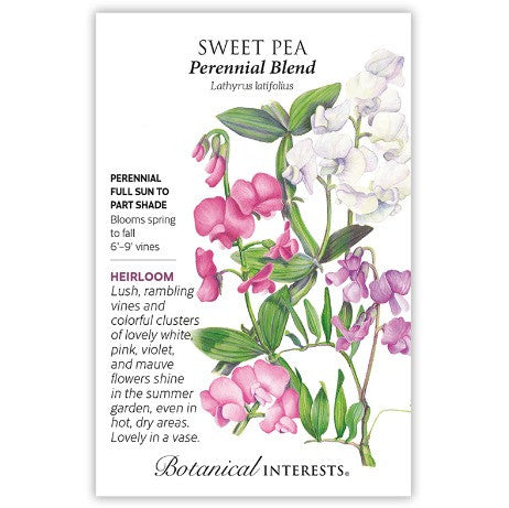 Botanical Interests - Double Blend Sweet William