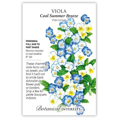 Botanical Interests - Cool Summer Breeze Viola