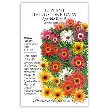 Botanical Interests - Sparkle Blend Iceplant Livingstone Daisy