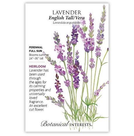 Botanical Interests - English Tall Vera Lavender