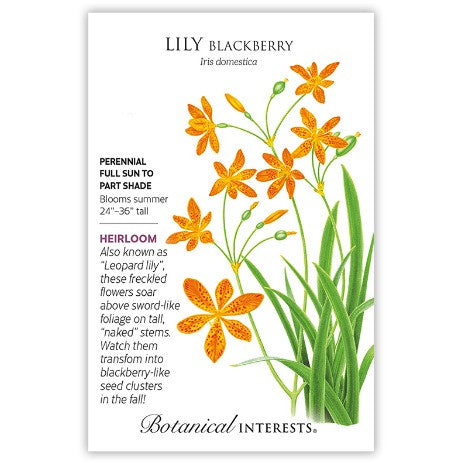 Botanical Interests - Blackberry Lily