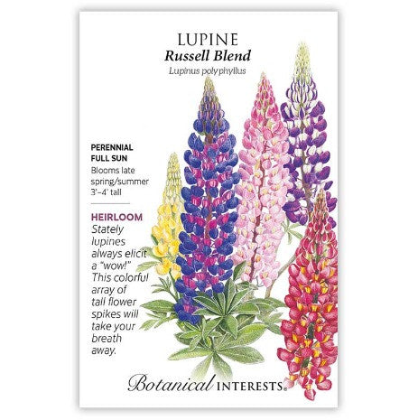 Botanical Interests - Russell Blend Lupine