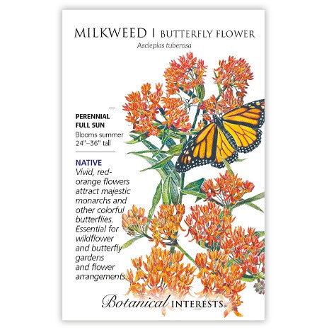 Botanical Interests - Milkweed Butterfly Flower