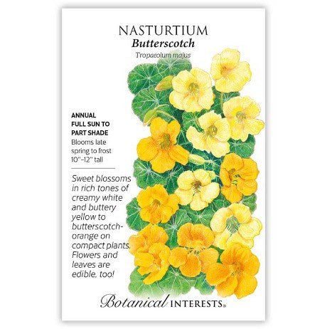 Botanical Interests - Butterscotch Nasturtium