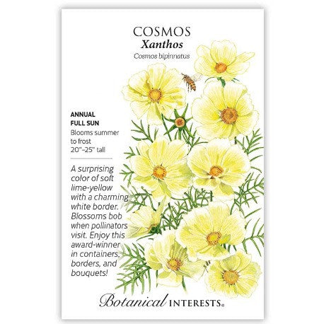 Botanical Interests - Xanthos Cosmos