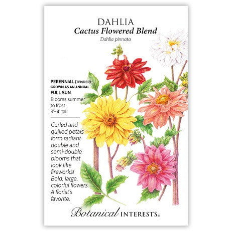 Botanical Interests - Cactus Flowered Blend Dahlia