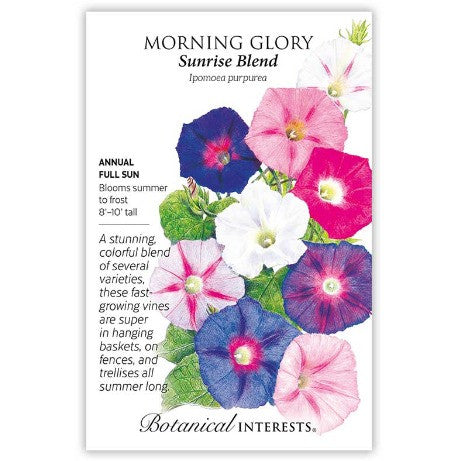 Botanical Interests - Sunrise Blend Morning Glory