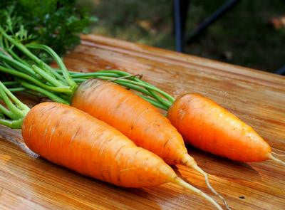 Southern Exposure Seed Exchange - Chantenay Red Core Carrots