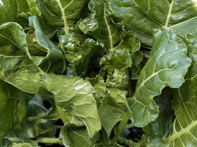 Green Glaze Collards - Southern Exposure Seed Exchange