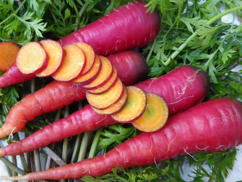 Southern Exposure Seed Exchange - Cosmic Purple Carrot