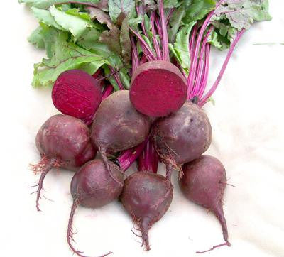 Southern Exposure Seed Exchange - Detroit Dark Red Beet