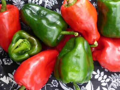 Southern Exposure Seed Exchange - Ancho Poblano Hot Pepper