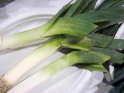 Southern Exposure Seed Exchange - King Sieg Leek