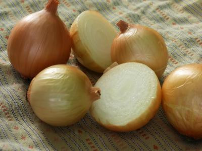 Southern Exposure Seed Exchange - Texas Early Grano Onion