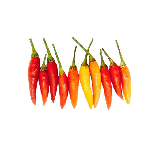 Sandia Seed Company - Tabasco Pepper